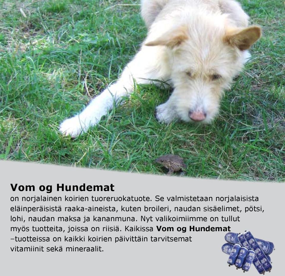 sisäelimet, pötsi, lohi, naudan maksa ja kananmuna.