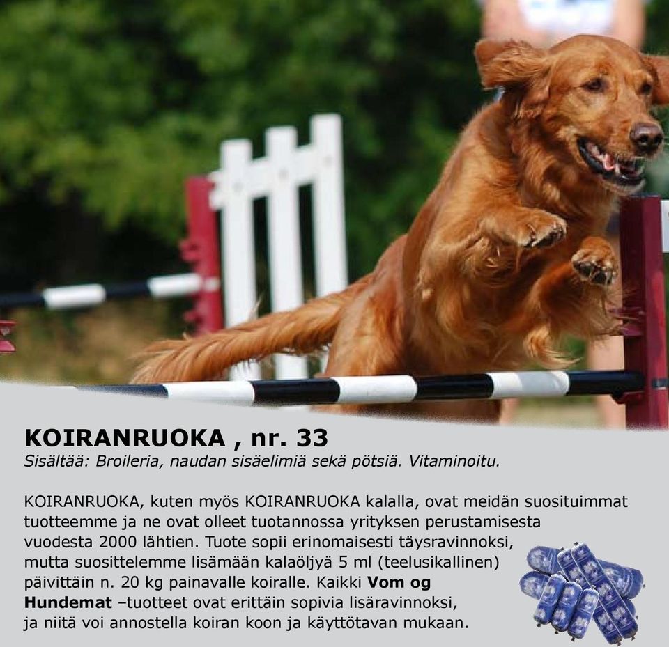 perustamisesta vuodesta 2000 lähtien.