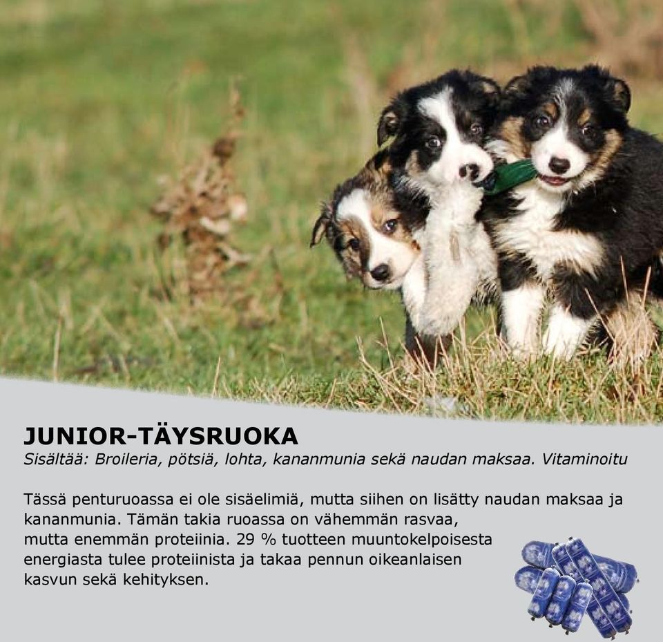 kananmunia. Tämän takia ruoassa on vähemmän rasvaa, mutta enemmän proteiinia.