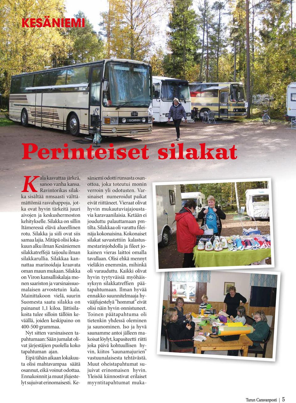 Silakka ja siili ovat siis samaa lajia. Mitäpä olisi lokakuun alku ilman Kesäniemen silakkatreffejä taijoulu ilman silakkarullia. Silakkaa kannattaa marinoidaja kraavata oman maun mukaan.