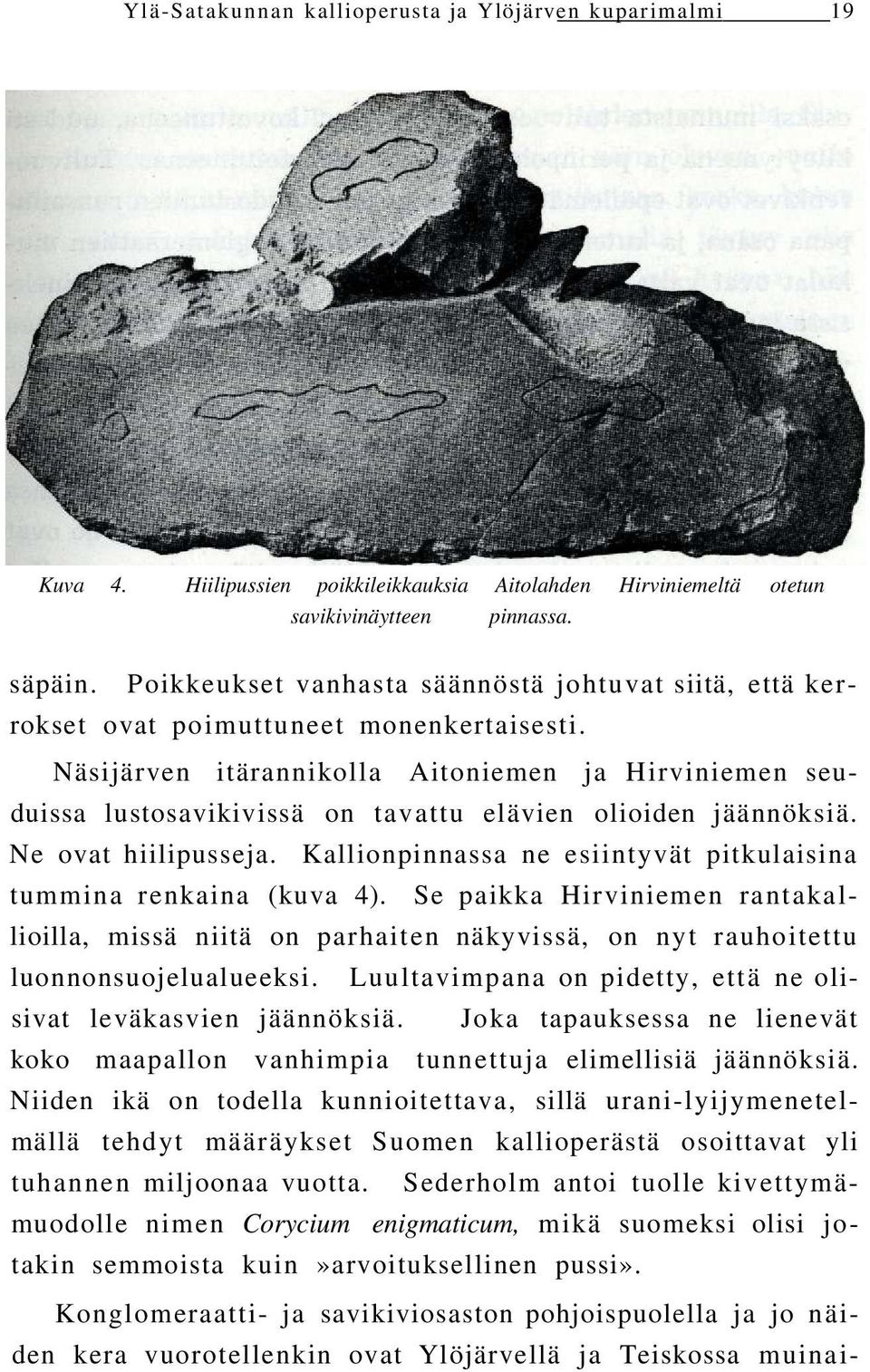 Näsijärven itärannikolla Aitoniemen ja Hirviniemen seuduissa lustosavikivissä on tavattu elävien olioiden jäännöksiä. Ne ovat hiilipusseja.