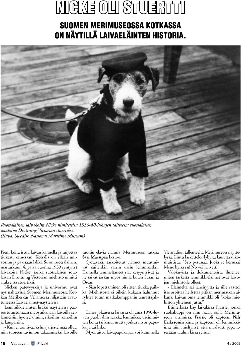 (Kuva: Swedish National Maritime Museum) Pieni koira istuu laivan kannella ja tuijottaa tiukasti kameraan. Koiralla on yllään univormu ja päässään lakki. Se on ruotsalainen, marraskuun 4.