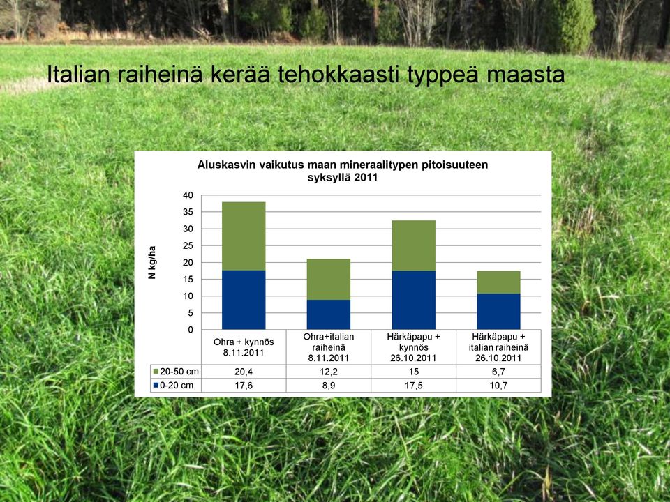 kynnös 8.11.2011 Ohra+italian raiheinä 8.11.2011 Härkäpapu + kynnös 26.10.