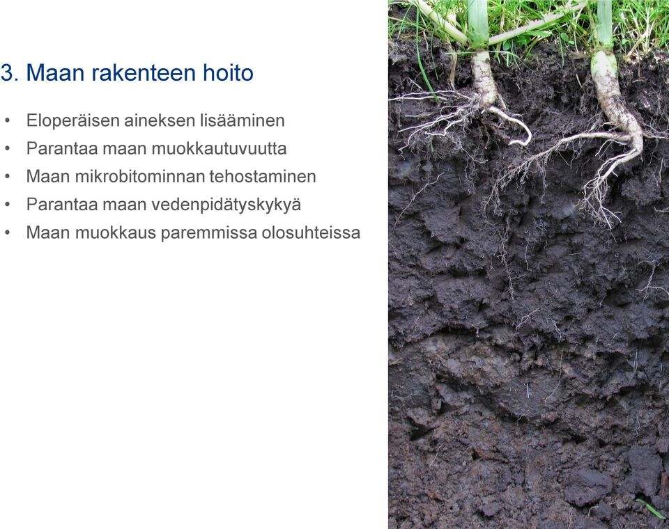 mikrobitominnan tehostaminen Parantaa maan