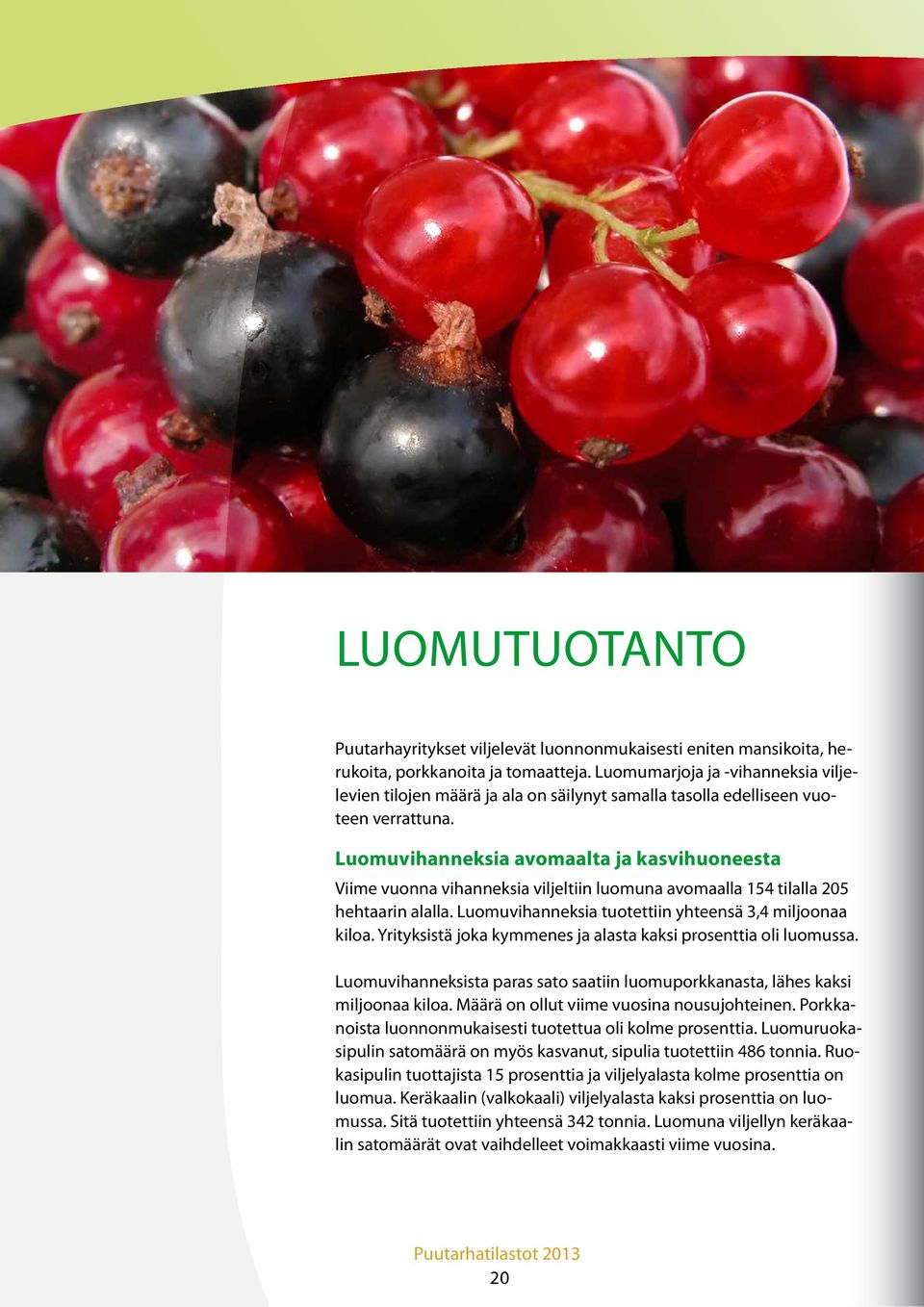 Luomuvihanneksia avomaalta ja kasvihuoneesta Viime vuonna vihanneksia viljeltiin luomuna avomaalla 154 tilalla 205 hehtaarin alalla. Luomuvihanneksia tuotettiin yhteensä 3,4 miljoonaa kiloa.