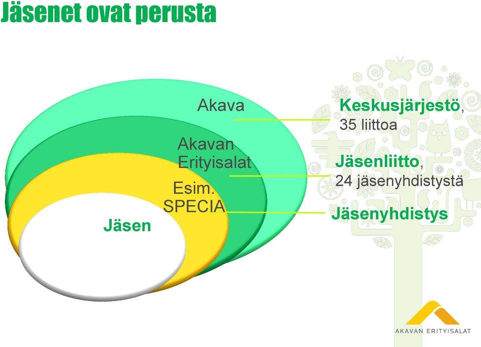 SPECIA Keskusjärjestö, 35 liittoa