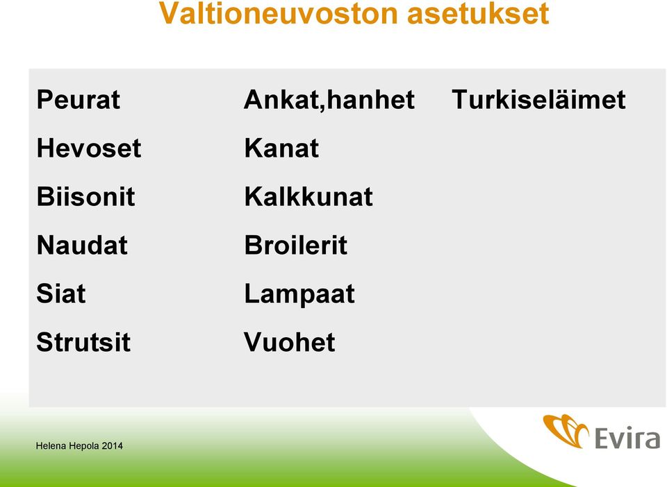Strutsit Ankat,hanhet Kanat