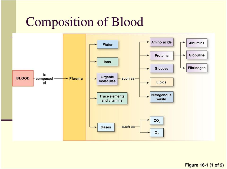 Plasma Organic molecules such as Lipids Trace elements and