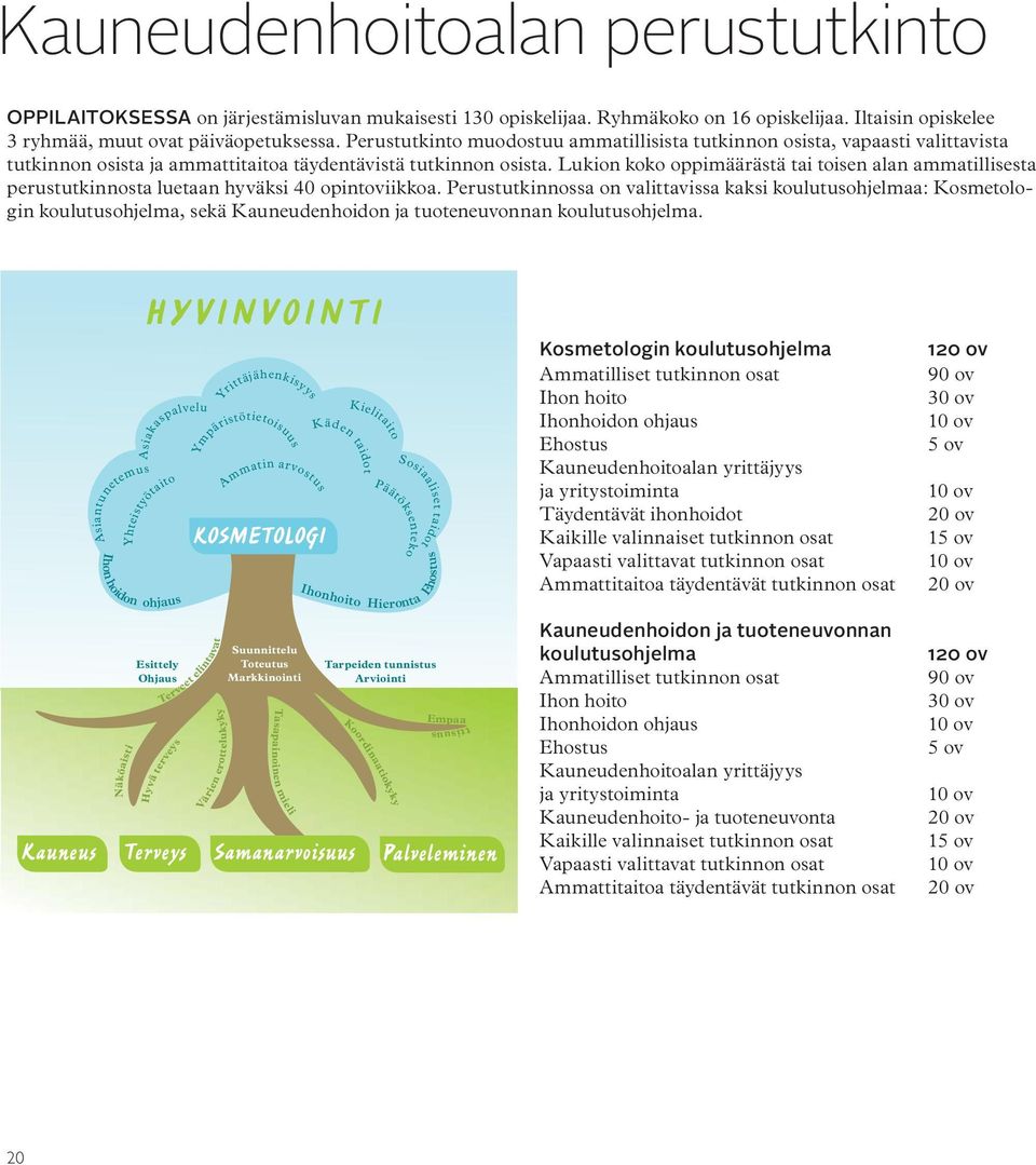 Lukion koko oppimäärästä tai toisen alan ammatillisesta perustutkinnosta luetaan hyväksi 40 opintoviikkoa.