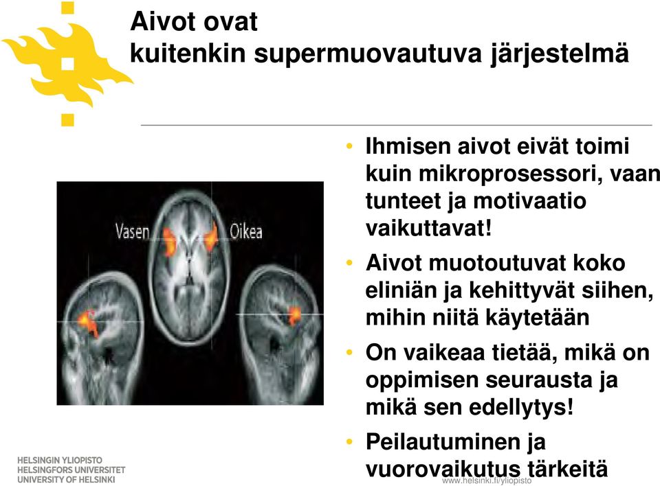 Aivot muotoutuvat koko eliniän ja kehittyvät siihen, mihin niitä käytetään On