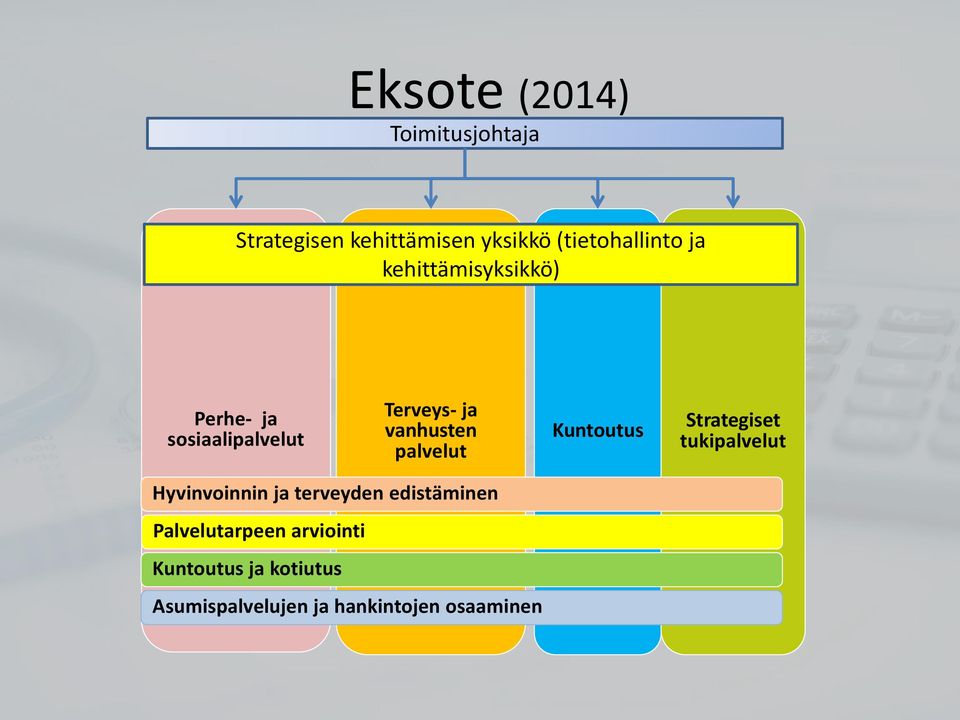 Kuntoutus Strategiset tukipalvelut Hyvinvoinnin ja terveyden edistäminen