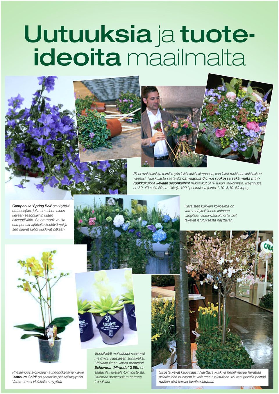 Myynnissä on 30, 40 sekä 50 cm tikkuja 100 kpl nipuissa (hinta 1,10 3,10 /nippu). Campanula Spring Bell on näyttävä uutuuslajike, joka on erinomainen kevään sesonkeihin kuten äitienpäivään.