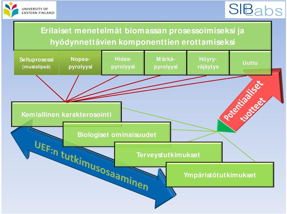 Hidaspyrolyysi Märkäpyrolyysi Höyryräjäytys Uutto Kemiallinen