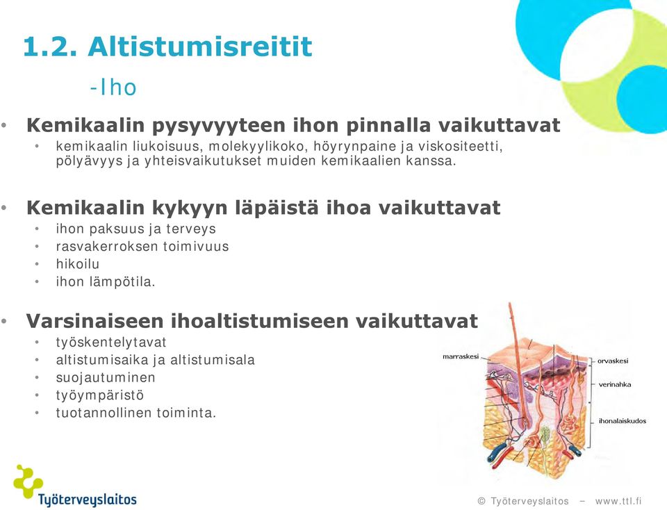 Kemikaalin kykyyn läpäistä ihoa vaikuttavat ihon paksuus ja terveys rasvakerroksen toimivuus hikoilu ihon lämpötila.