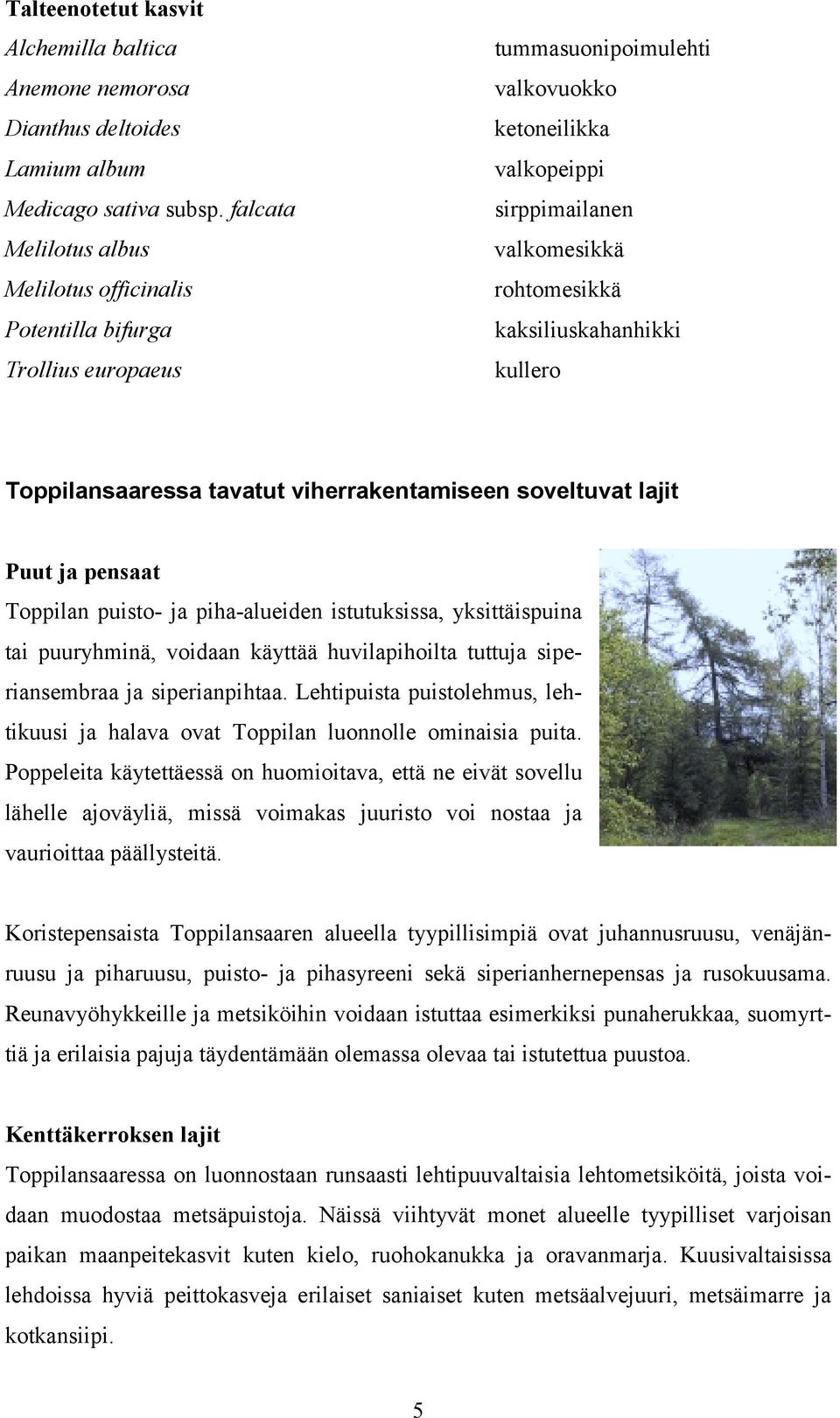 kaksiliuskahanhikki kullero Toppilansaaressa tavatut viherrakentamiseen soveltuvat lajit Puut ja pensaat Toppilan puisto- ja piha-alueiden istutuksissa, yksittäispuina tai puuryhminä, voidaan käyttää