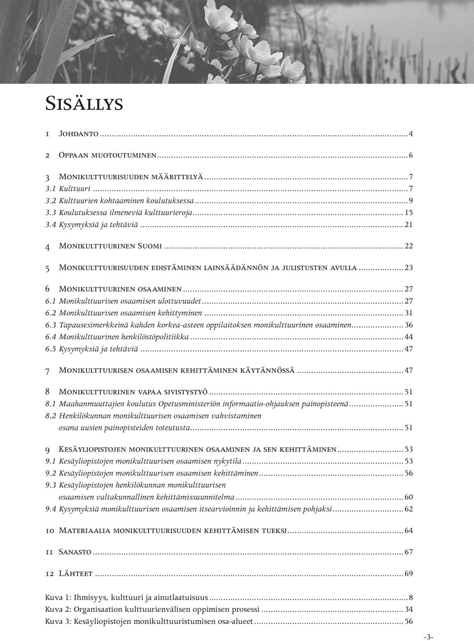 1 Monikulttuurisen osaamisen ulottuvuudet...27 6.2 Monikulttuurisen osaamisen kehittyminen...31 6.3 Tapausesimerkkeinä kahden korkea-asteen oppilaitoksen monikulttuurinen osaaminen...36 6.