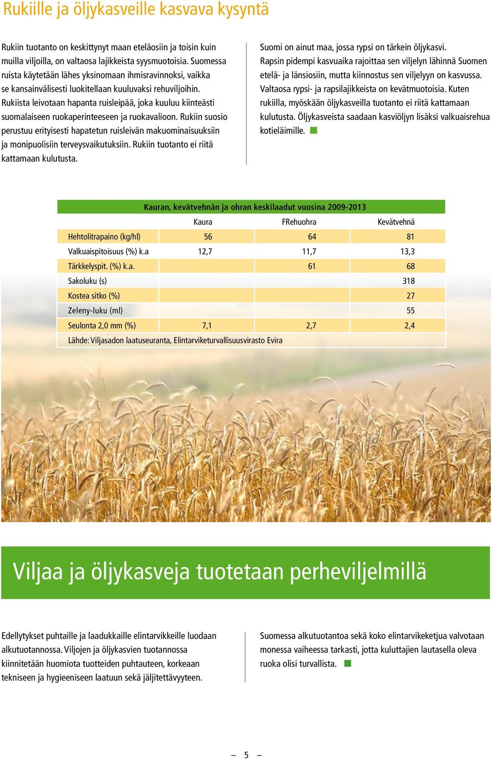 Rukiista leivotaan hapanta ruisleipää, joka kuuluu kiinteästi suomalaiseen ruokaperinteeseen ja ruokavalioon.