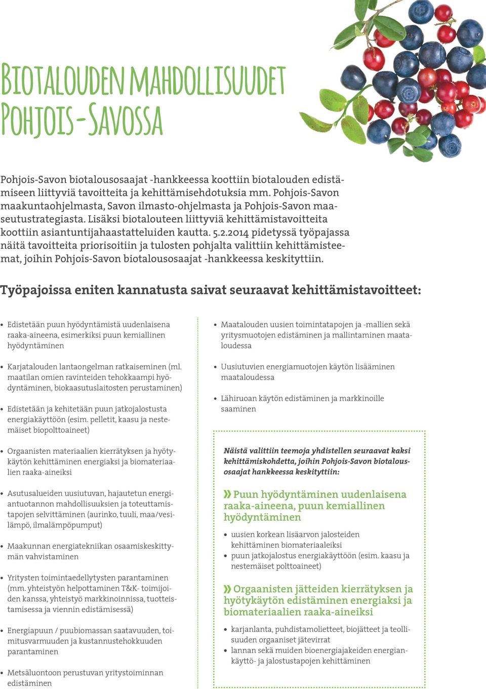 2014 pidetyssä työpajassa näitä tavoitteita priorisoitiin ja tulosten pohjalta valittiin kehittämisteemat, joihin Pohjois-Savon biotalousosaajat -hankkeessa keskityttiin.