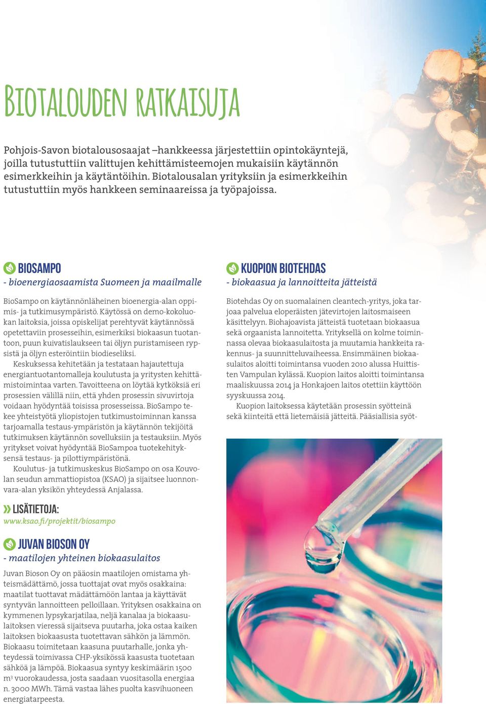 BioSampo - bioenergiaosaamista Suomeen ja maailmalle BioSampo on käytännönläheinen bioenergia-alan oppimis- ja tutkimusympäristö.