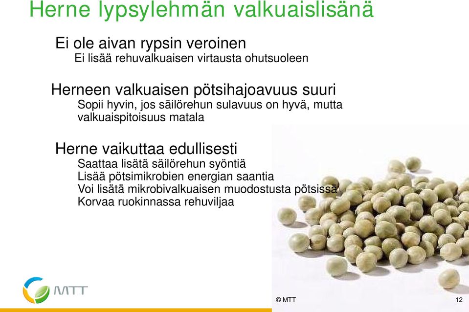 mutta valkuaispitoisuus matala Herne vaikuttaa edullisesti Saattaa lisätä säilörehun syöntiä Lisää