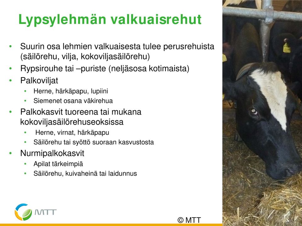 Siemenet osana väkirehua Palkokasvit tuoreena tai mukana kokoviljasäilörehuseoksissa Herne, virnat,