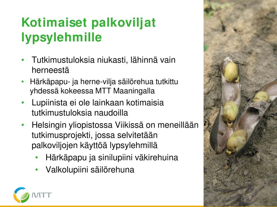 tutkimustuloksia naudoilla Helsingin yliopistossa Viikissä on meneillään tutkimusprojekti, jossa