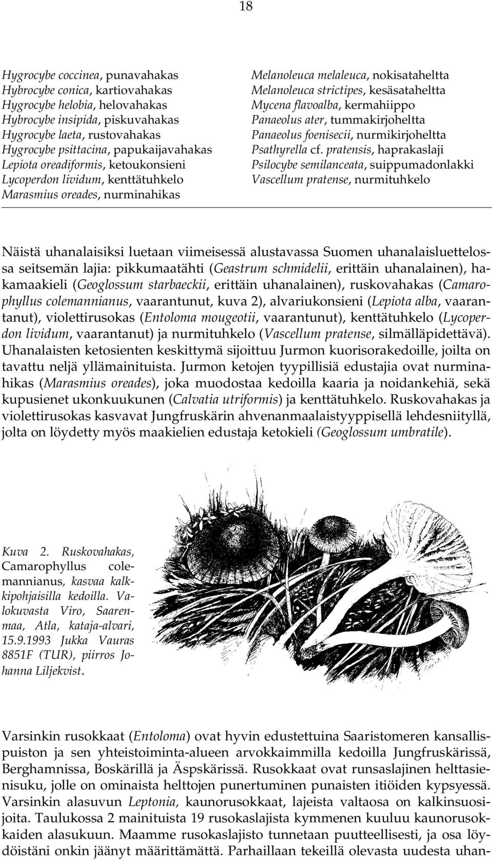 kermahiippo Panaeolus ater, tummakirjoheltta Panaeolus foenisecii, nurmikirjoheltta Psathyrella cf.