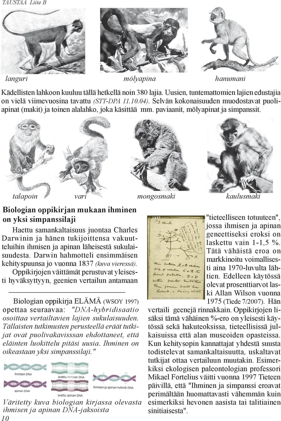 talapoin vari mongosmaki kaulusmaki Biologian oppikirjan mukaan ihminen on yksi simpanssilaji Haettu samankaltaisuus juontaa Charles Darwinin ja hänen tukijoittensa vakuutteluihin ihmisen ja apinan