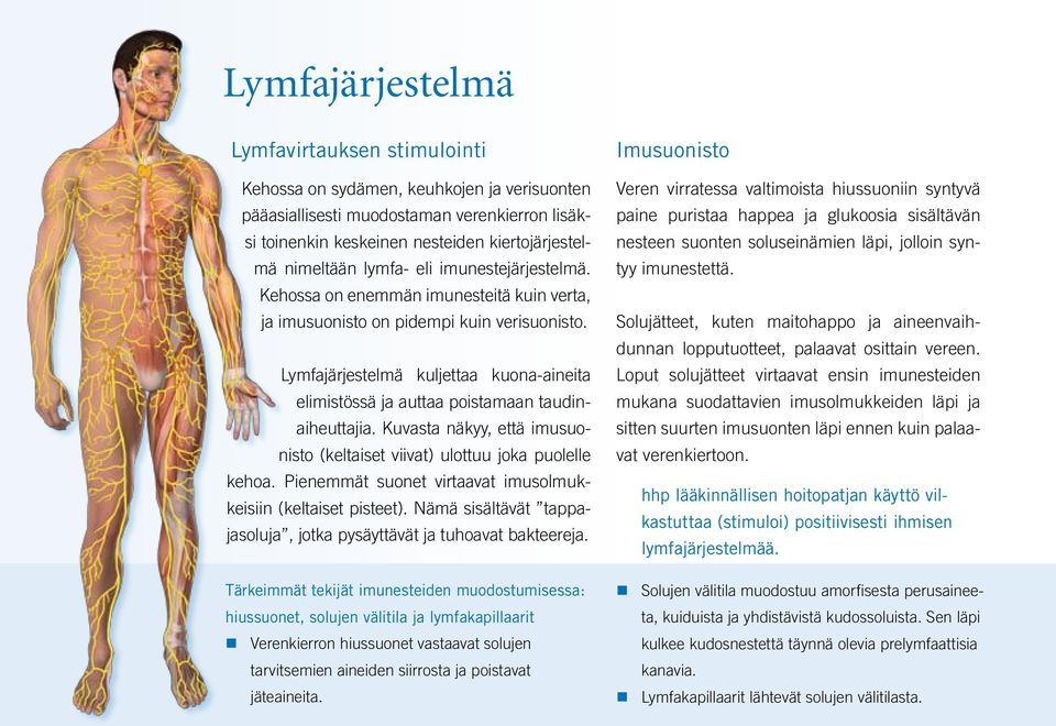 Lymfajärjestelmä kuljettaa kuona-aineita elimistössä ja auttaa poistamaan taudinaiheuttajia. Kuvasta näkyy, että imusuonisto (keltaiset viivat) ulottuu joka puolelle kehoa.