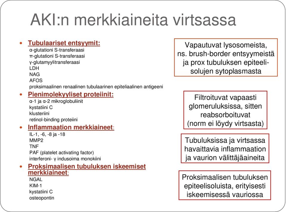 factor) interferoni- indusoima monokiini Proksimaalisen tubuluksen iskeemiset merkkiaineet: NGAL KIM-1 kystatiini C osteopontin Vapautuvat lysosomeista, ns.