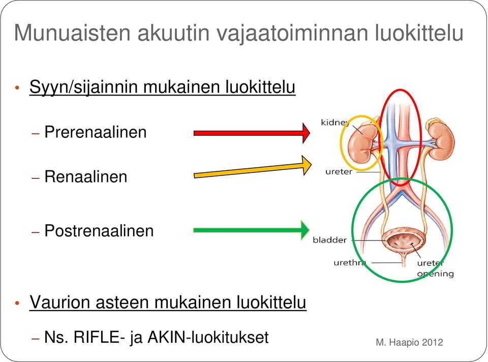 Prerenaalinen Renaalinen Postrenaalinen