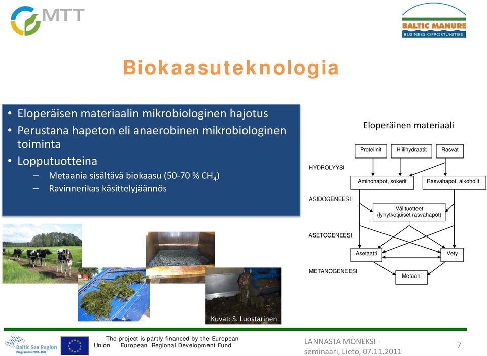 materiaali Proteiinit Aminohapot, sokerit Hiilihydraatit Välituotteet (lyhytketjuiset rasvahapot) Rasvat Rasvahapot,