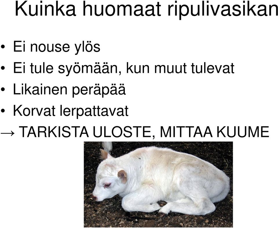 muut tulevat Likainen peräpää