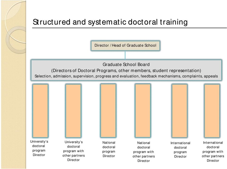 University s doctoral program Director University s doctoral program with other partners Director National doctoral program Director