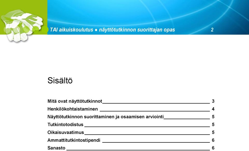 Näyttötutkinnon suorittaminen ja osaamisen arviointi 5