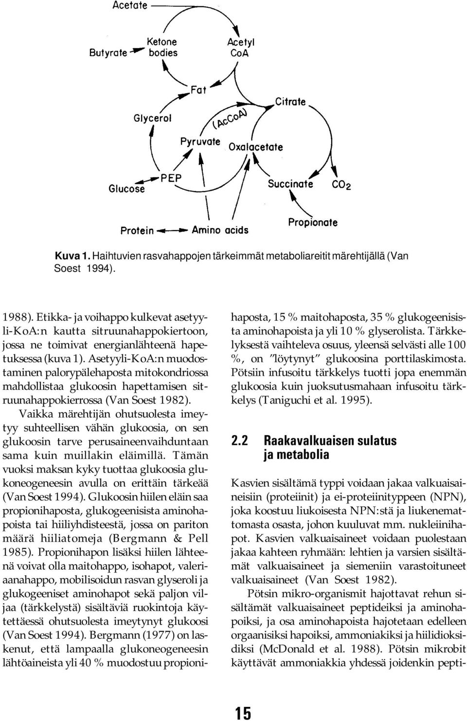 Asetyyli-KoA:n muodostaminen palorypälehaposta mitokondriossa mahdollistaa glukoosin hapettamisen sitruunahappokierrossa (Van Soest 1982).