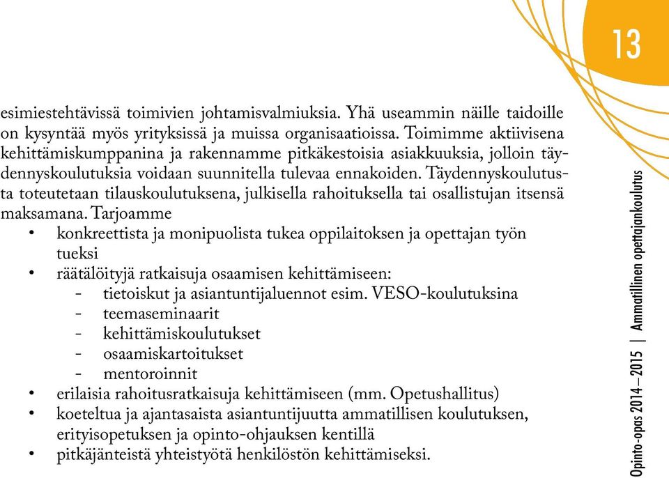 Täydennyskoulutusta toteutetaan tilauskoulutuksena, julkisella rahoituksella tai osallistujan itsensä maksamana.