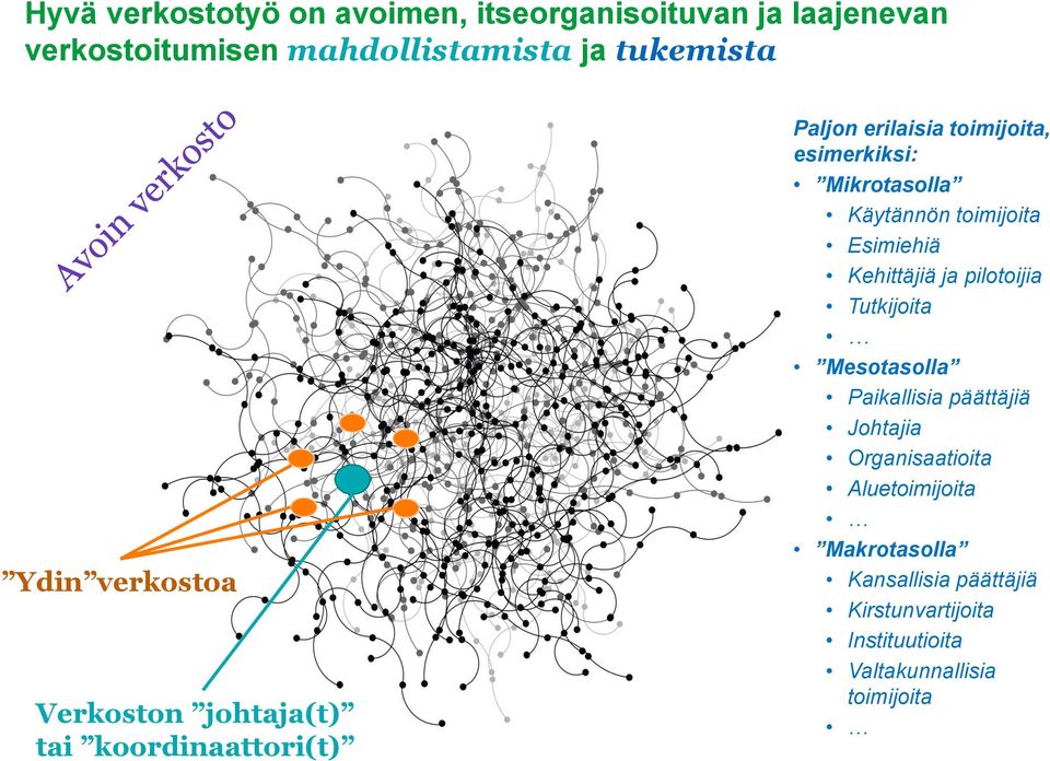 Käytännön toimijoita Esimiehiä Kehittäjiä ja pilotoijia Tutkijoita Mesotasolla Paikallisia päättäjiä Johtajia