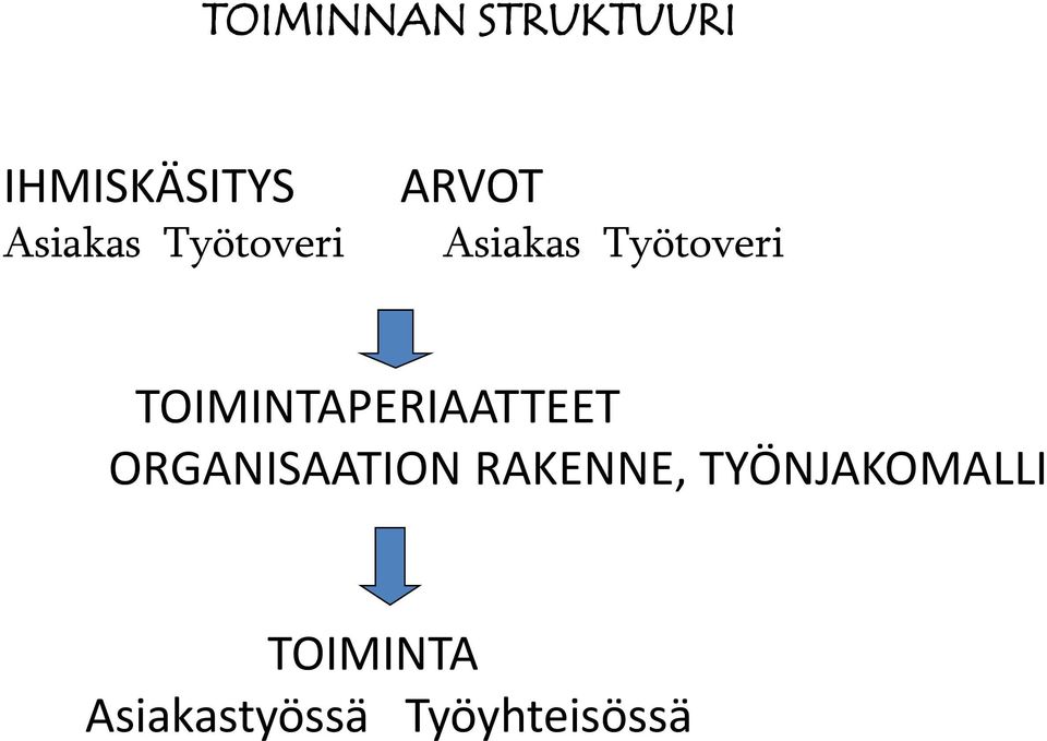 TOIMINTAPERIAATTEET ORGANISAATION RAKENNE,