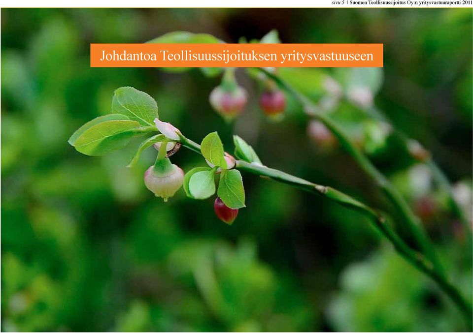 yritysvastuuseen sivu 5