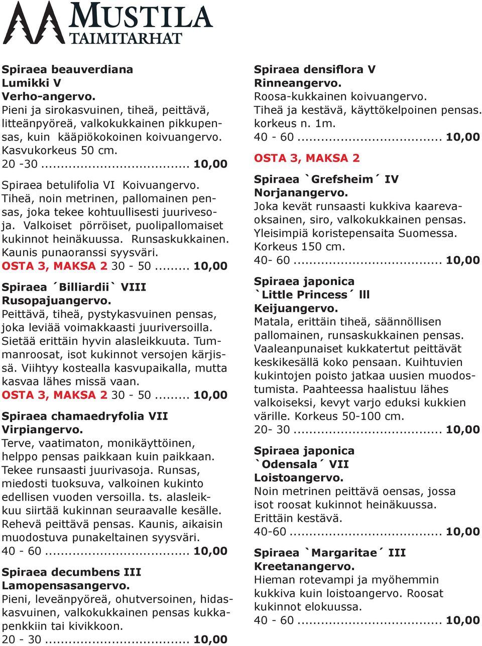 Runsaskukkainen. Kaunis punaoranssi syysväri. Spiraea Billiardii` VIII Rusopajuangervo. Peittävä, tiheä, pystykasvuinen pensas, joka leviää voimakkaasti juuriversoilla.