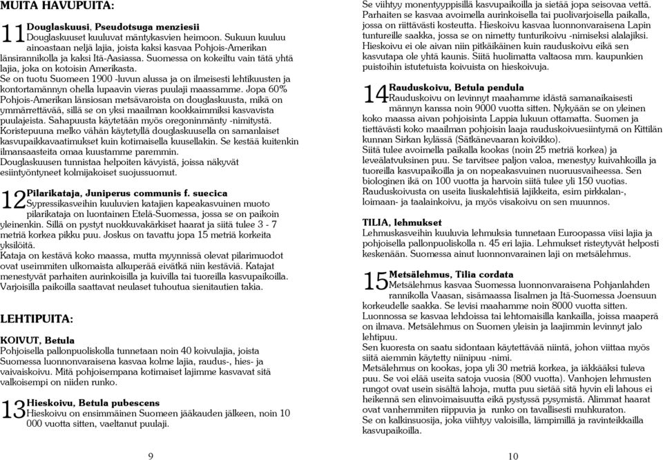 Se on tuotu Suomeen 1900 luvun alussa ja on ilmeisesti lehtikuusten ja kontortamännyn ohella lupaavin vieras puulaji maassamme.