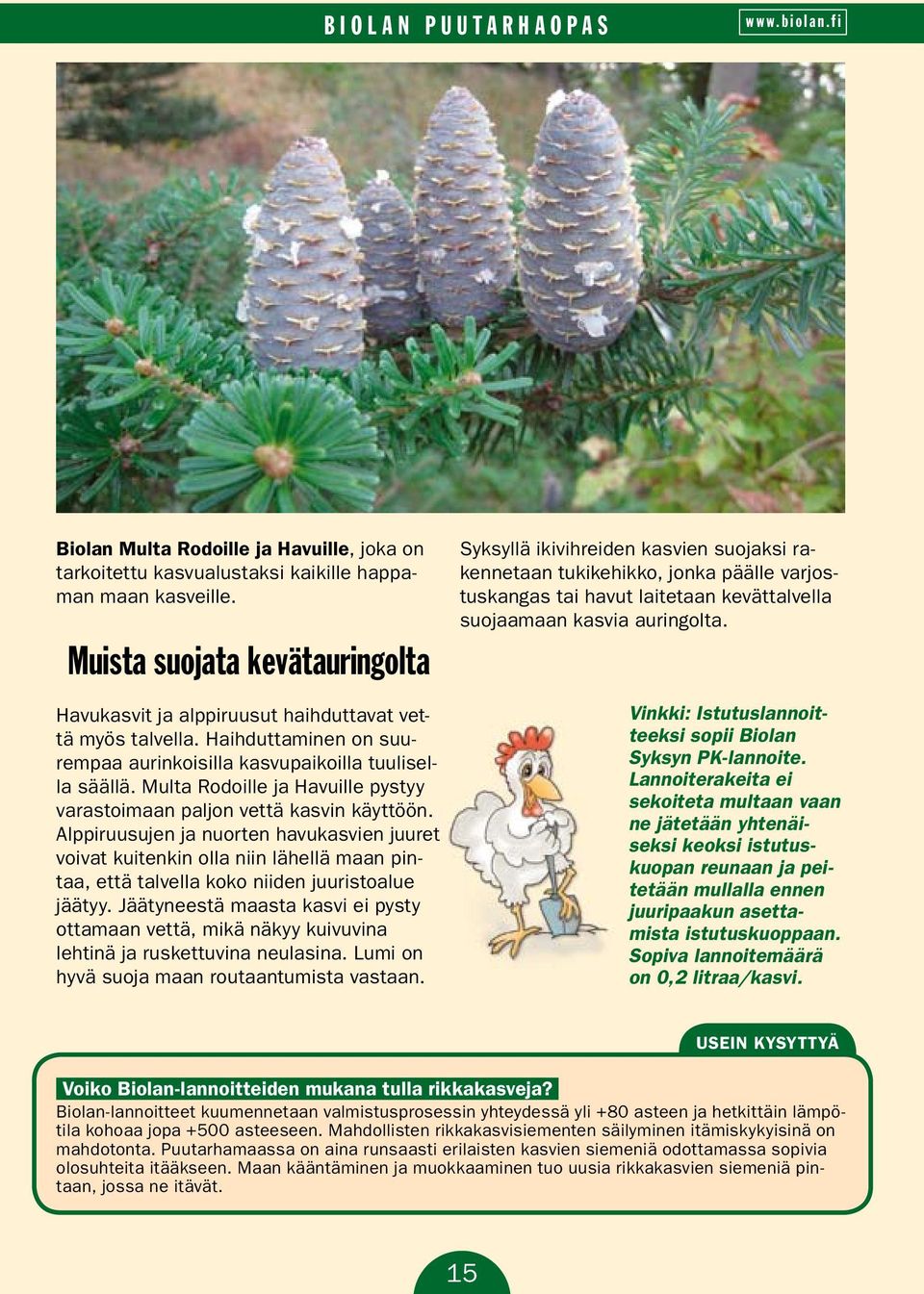 Multa Rodoille ja Havuille pystyy varastoimaan paljon vettä kasvin käyttöön.
