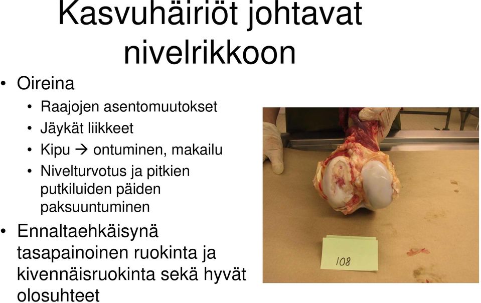 Nivelturvotus ja pitkien putkiluiden päiden paksuuntuminen