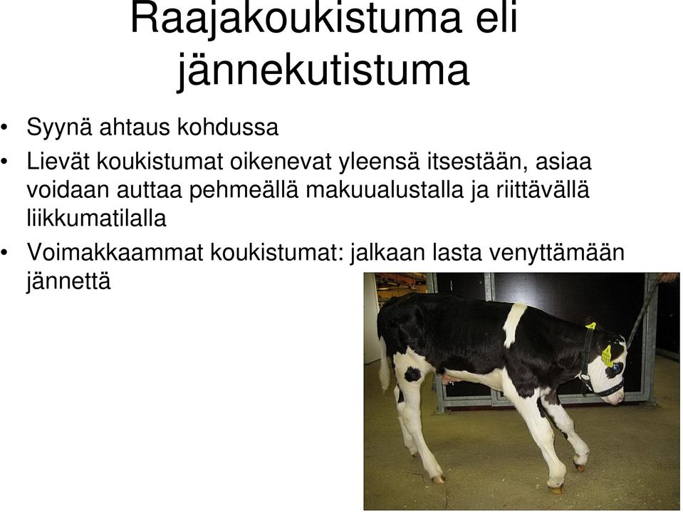 voidaan auttaa pehmeällä makuualustalla ja riittävällä