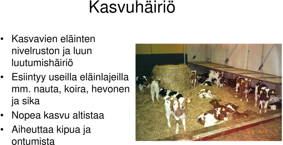 eläinlajeilla mm.