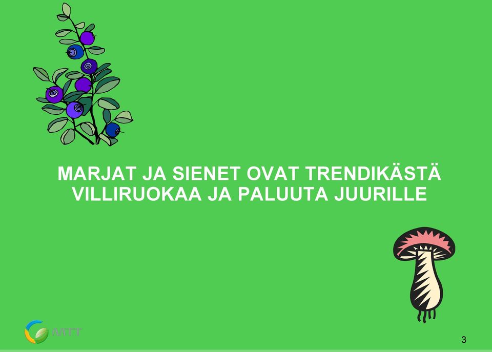 VILLIRUOKAA JA