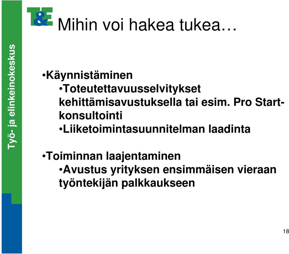 Pro Startkonsultointi Liiketoimintasuunnitelman laadinta