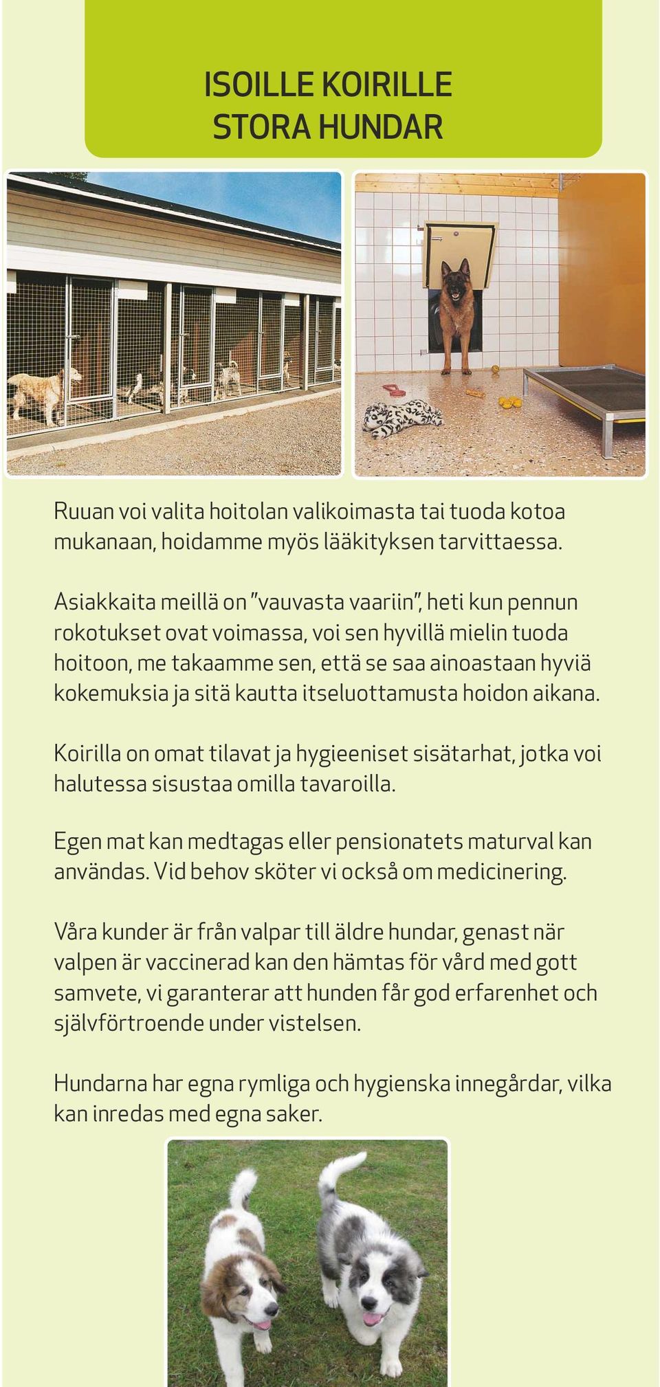 itseluottamusta hoidon aikana. Koirilla on omat tilavat ja hygieeniset sisätarhat, jotka voi halutessa sisustaa omilla tavaroilla. Egen mat kan medtagas eller pensionatets maturval kan användas.