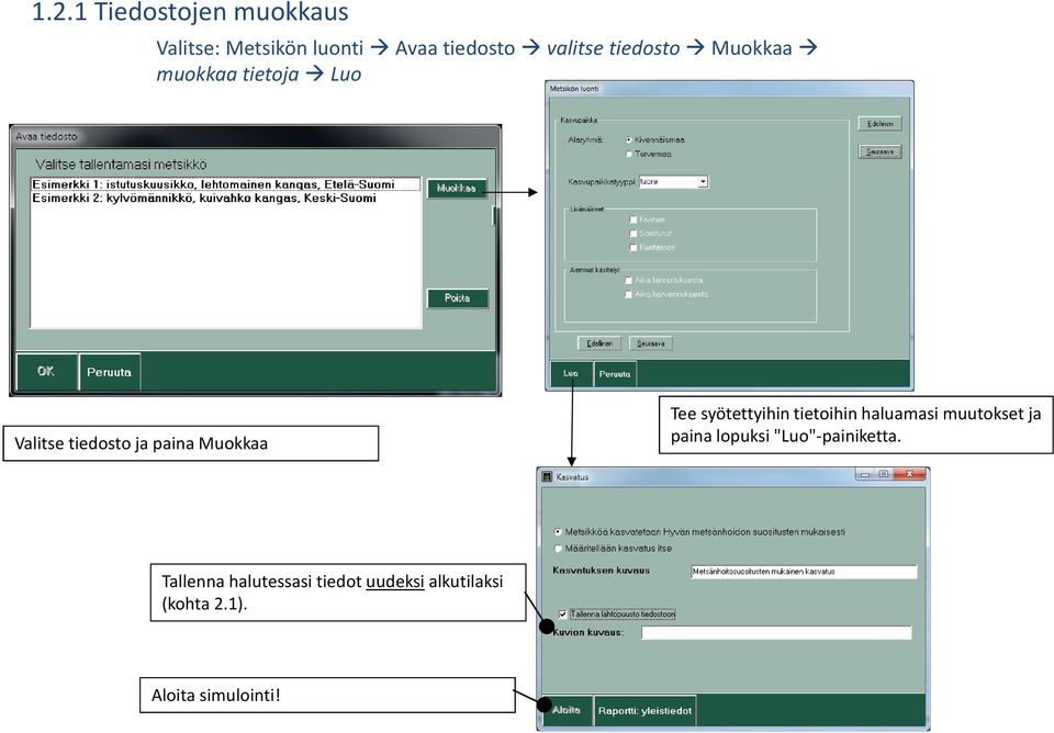 syötettyihin tietoihin haluamasi muutokset ja paina lopuksi "Luo"-painiketta.